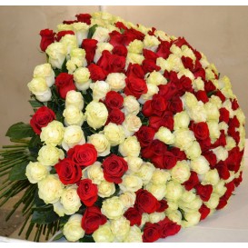 101 роза 50 см