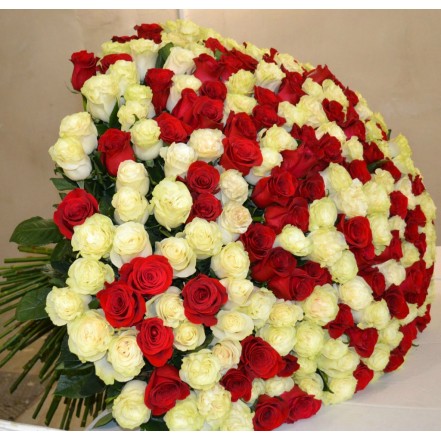 101 роза 50 см