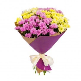 Хризантема Mix-2