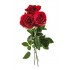 3 красные розы