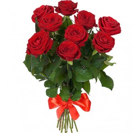 розы красные 9 шт