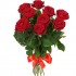 розы красные 9 шт