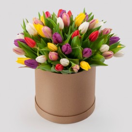 51 тюльпан в коробке