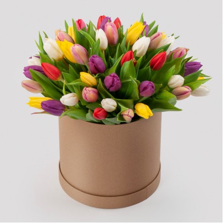 51 тюльпан в коробке