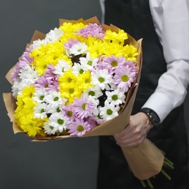 Хризантема Mix