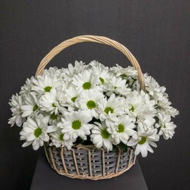 "Жемчужина красоты"